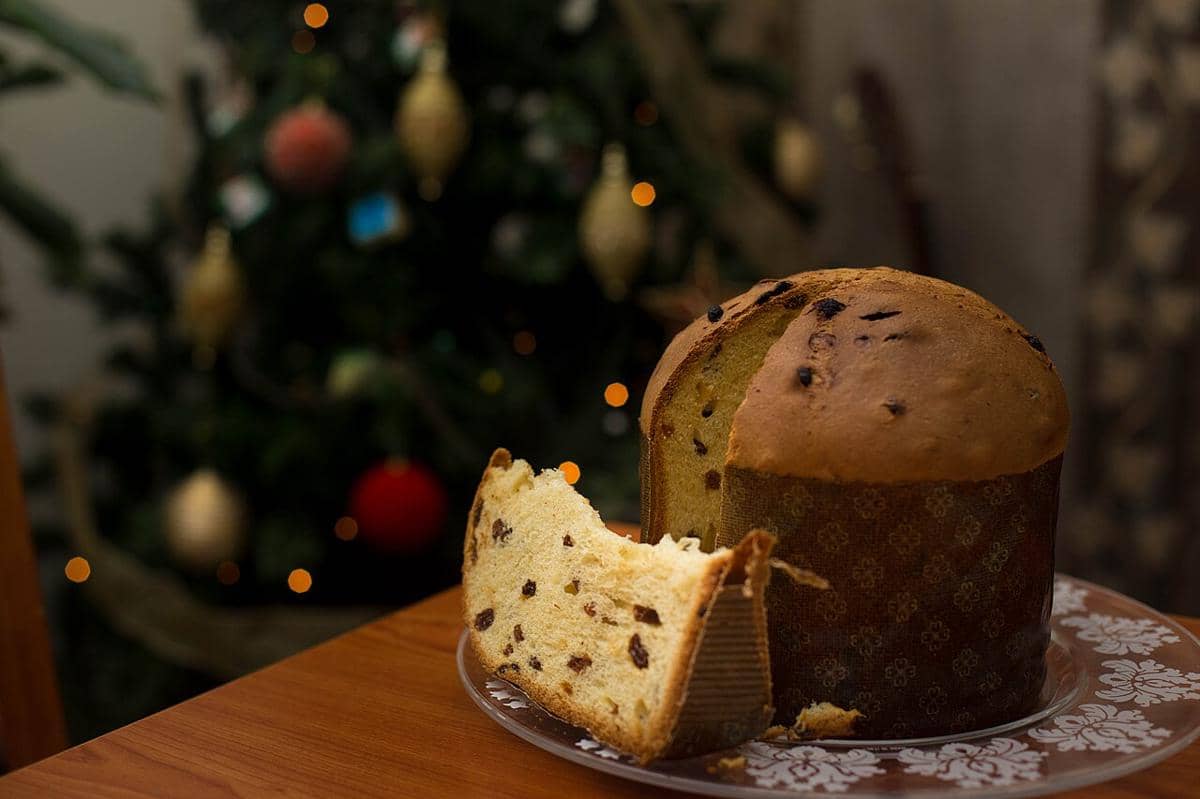 ilustrasi panettone klasik 