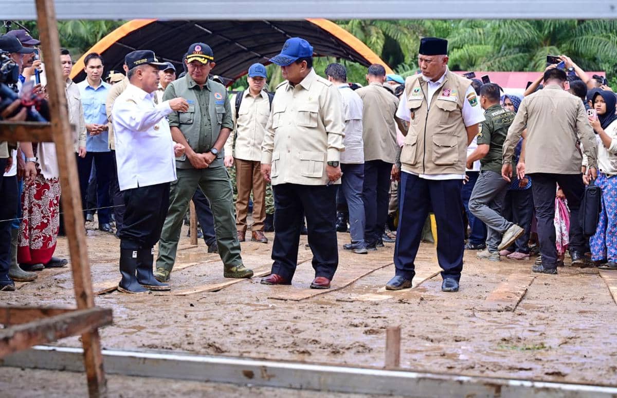 WhatsApp Image 2025-12-18 at 17.14.29.jpeg