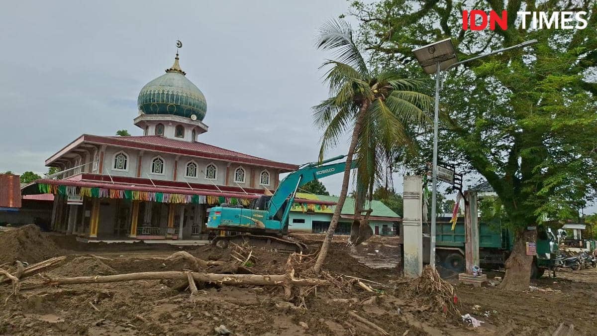 WhatsApp Image 2025-12-18 at 14.52.14 (1).jpeg