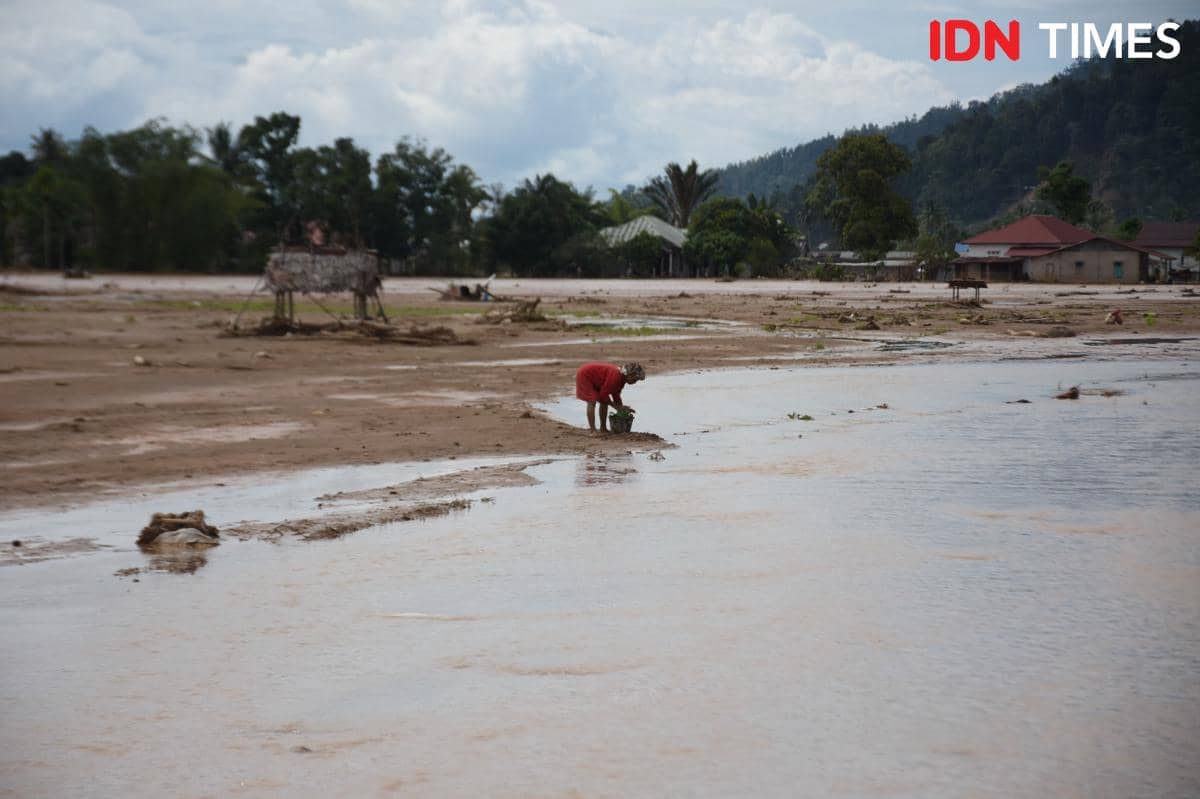 Warga mengambil air di tengah persawahan yang rusak akibat banjir bandang di Tapanuli Tengah (IDN Times/Prayugo Utomo)