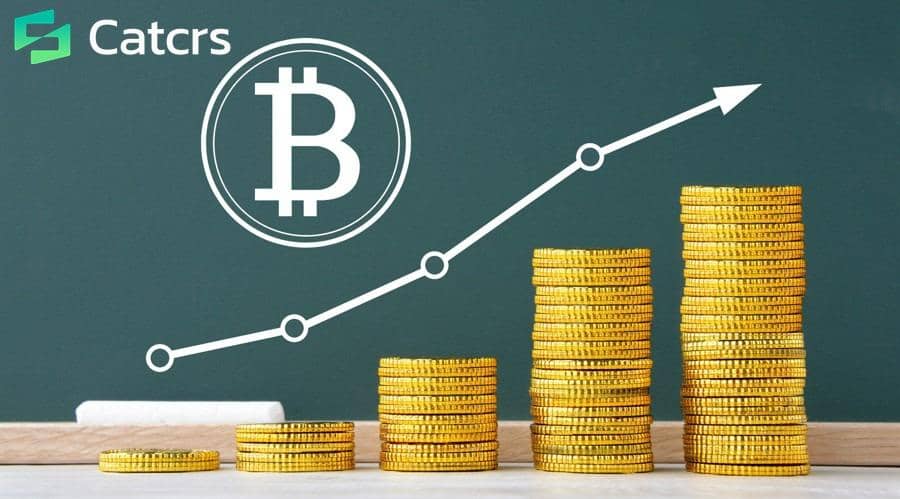 Menyingkap Investasi Kripto Bebas Cemas ala CATCRS (Dok. IDN Times)
