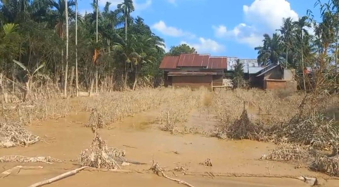 WhatsApp Image 2025-12-18 at 19.24.11 (1).jpeg