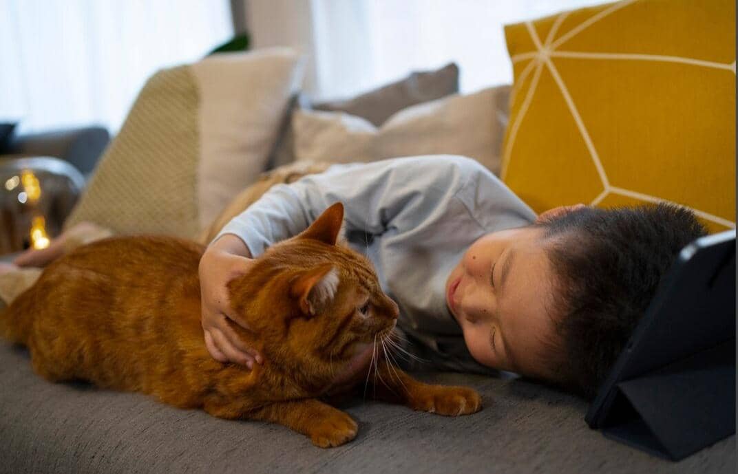 ilustrasi bermain dengan kucing (freepik.com/freepik)