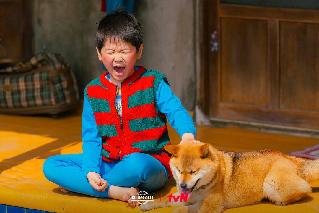 cuplikan drama Typhoon Family