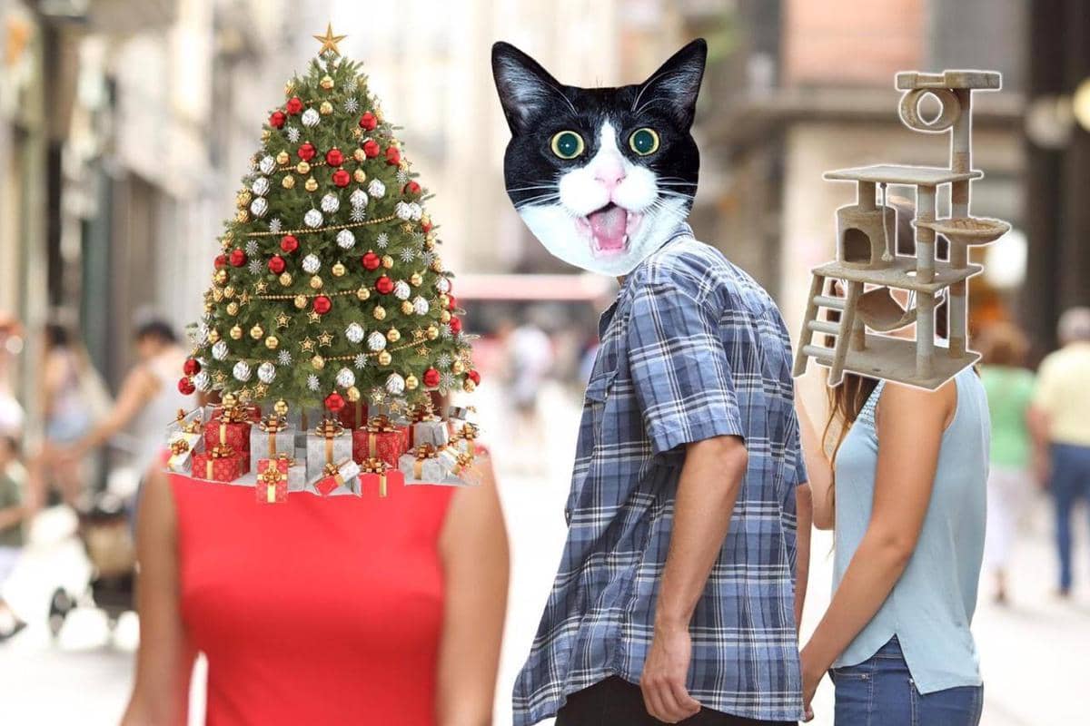 meme kucing dan pohon Natal
