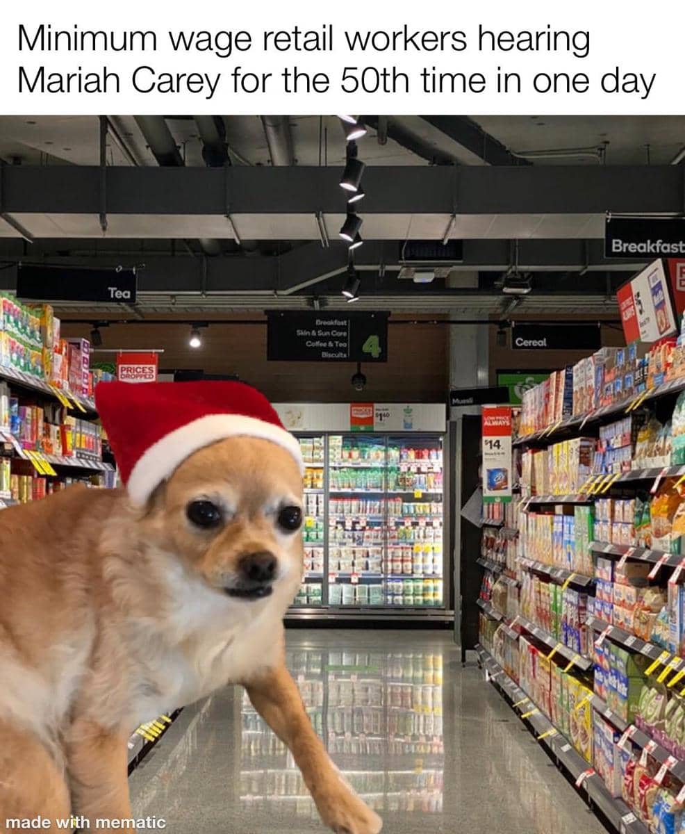 meme anjing dan hari Natal
