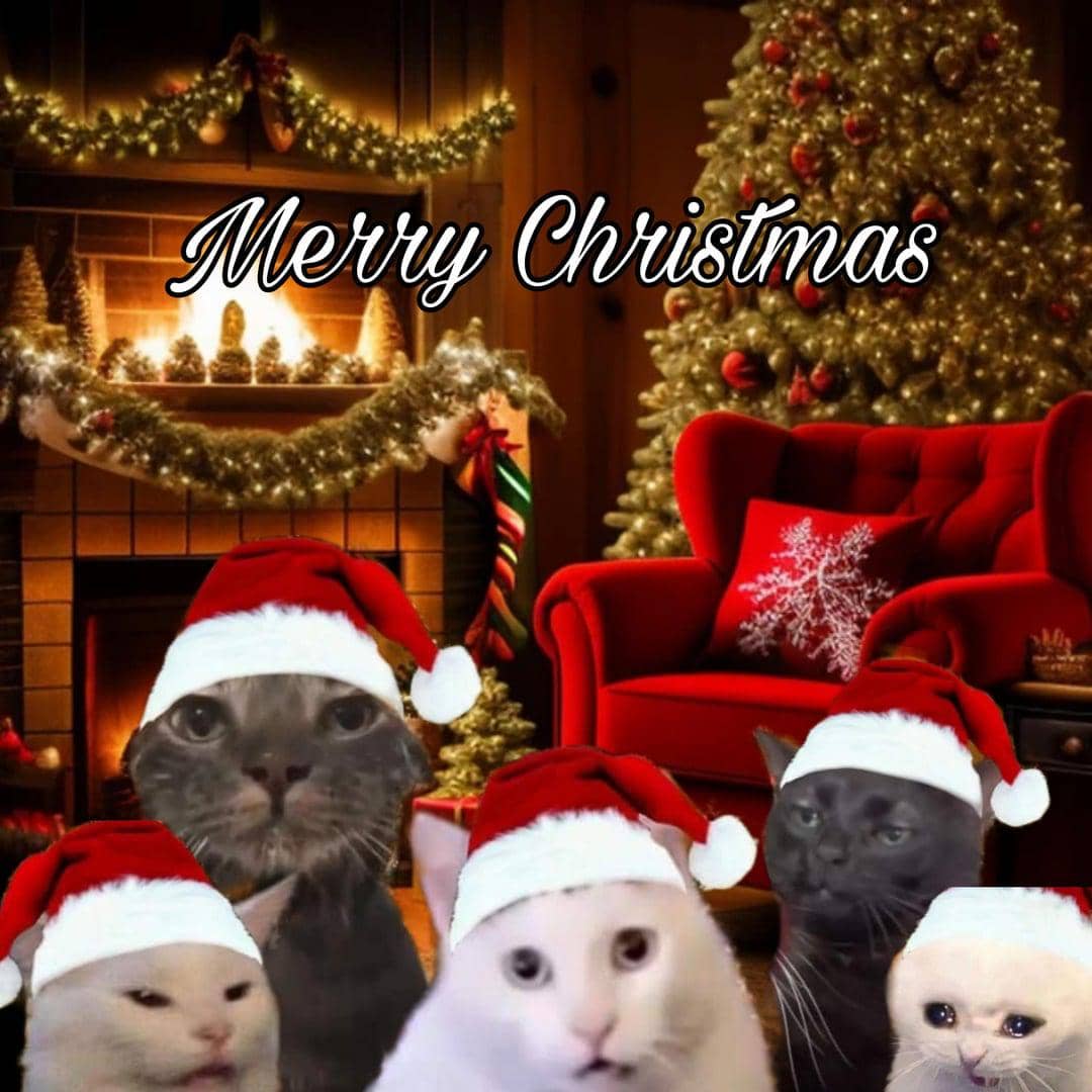 meme kucing di hari Natal