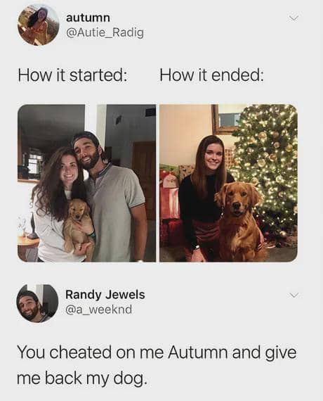 meme anjing dan hari Natal