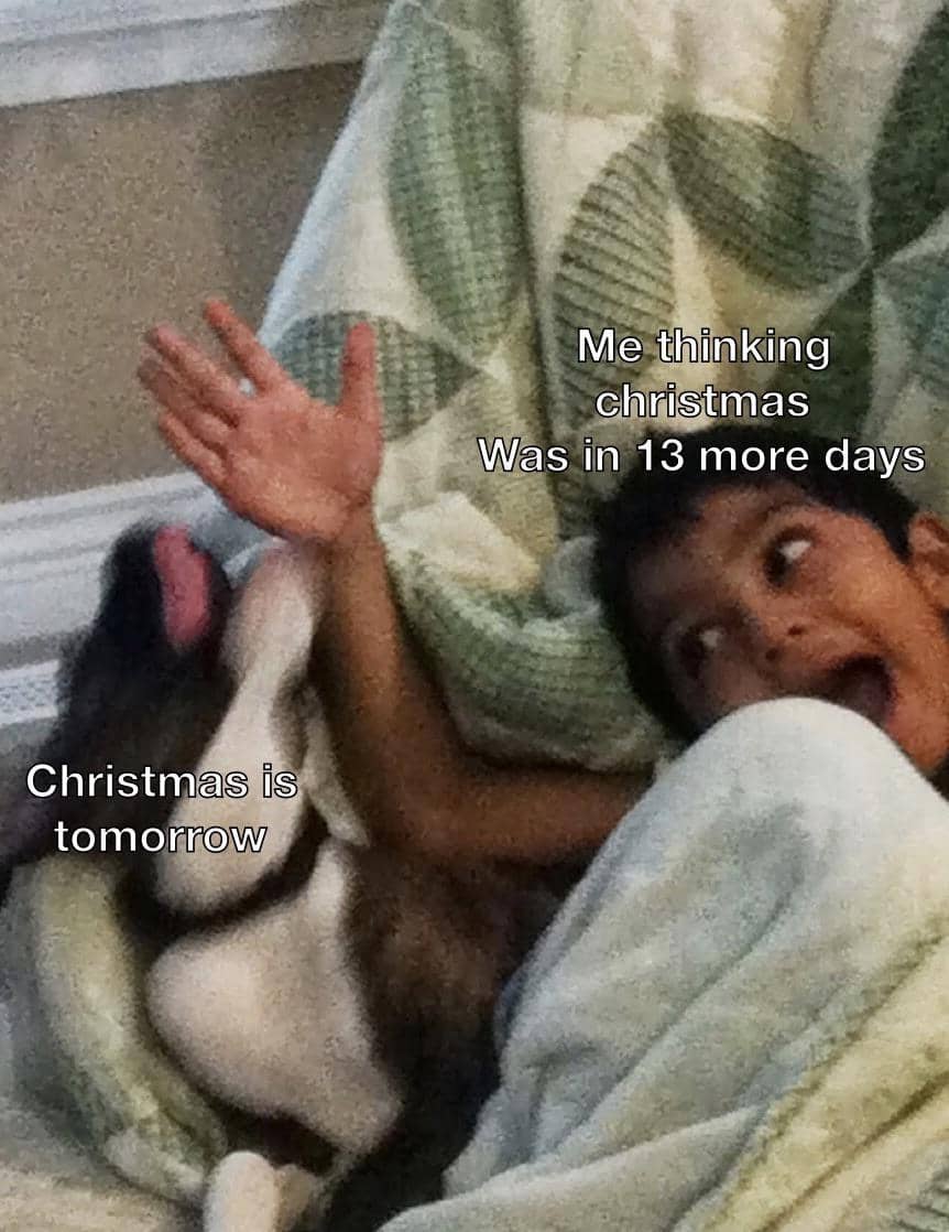 meme anjing dan hari Natal