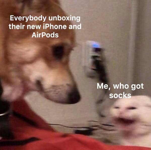 meme anjing dan hari Natal