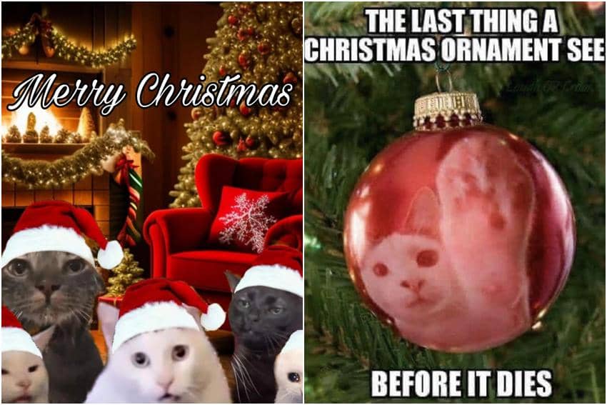 kolase meme kucing di hari Natal