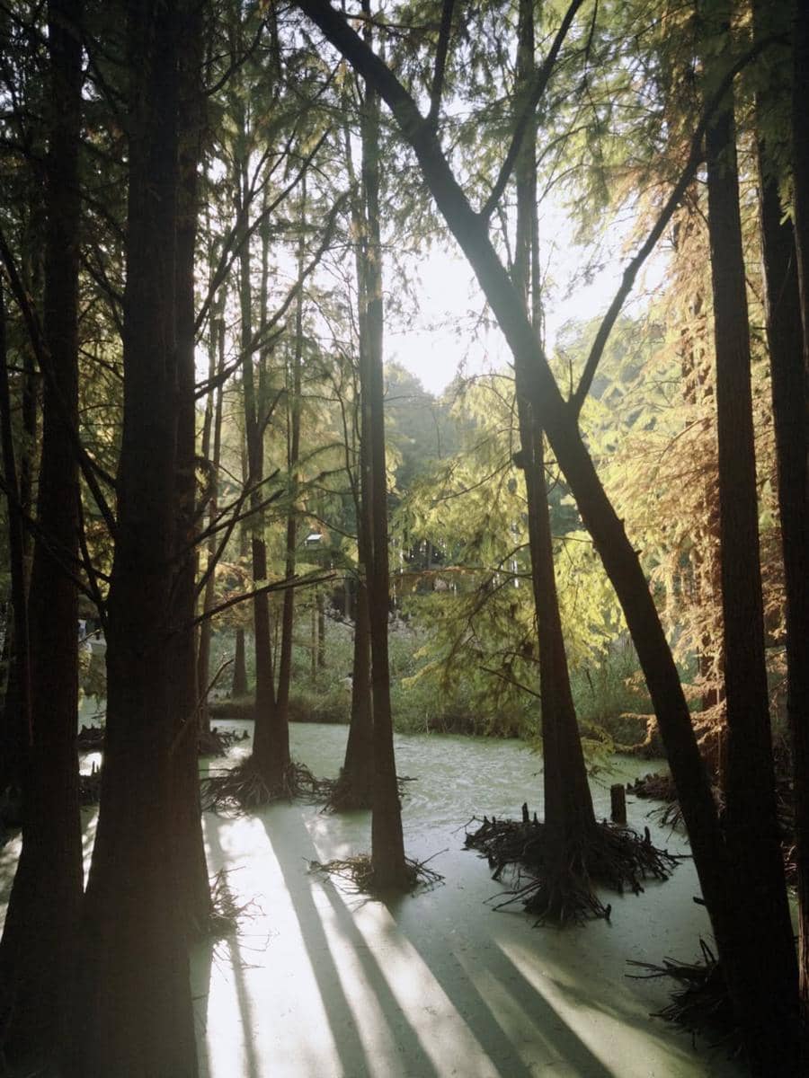 Kimberly Ryder berkunjung ke Danau Qingshan.