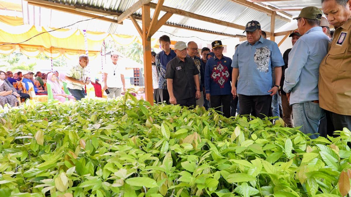 Perusahaan Kuliner Jepang, Chateraise Siap Borong Kakao Gorontalo