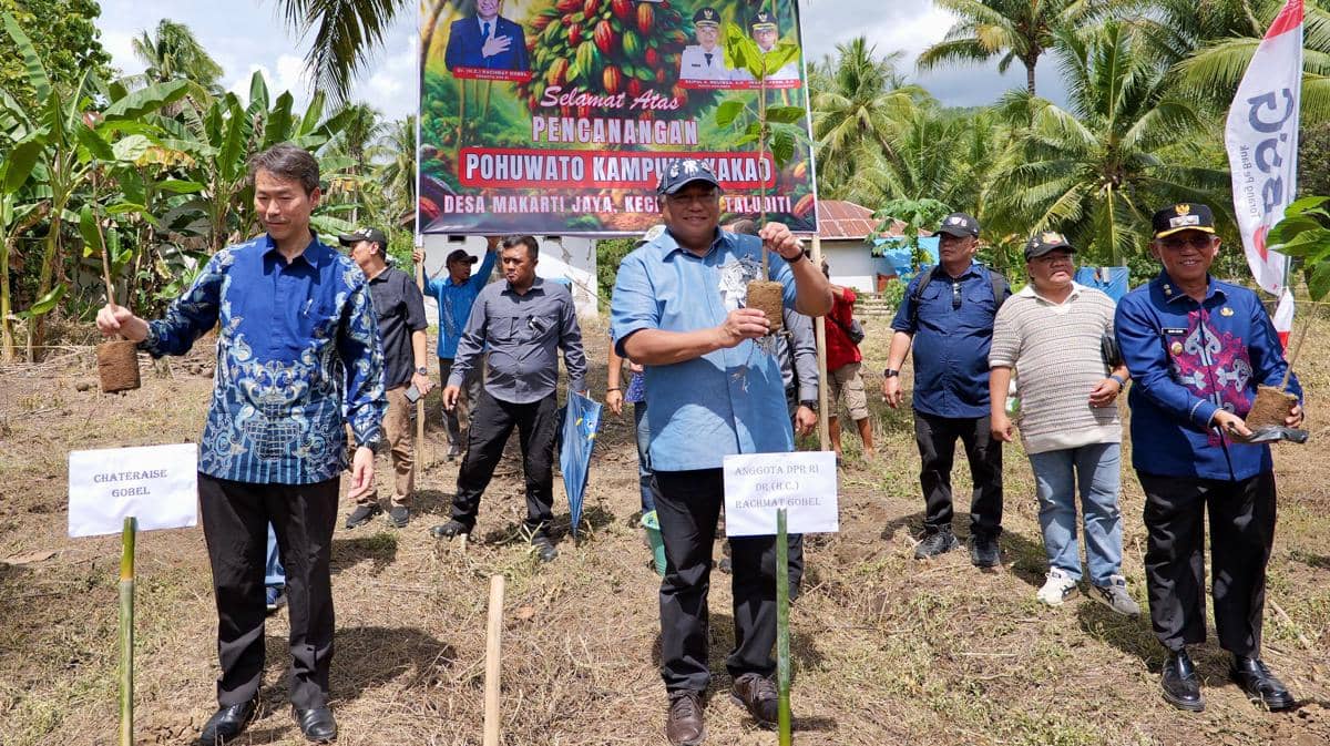 Perusahaan Kuliner Jepang, Chateraise Siap Borong Kakao Gorontalo