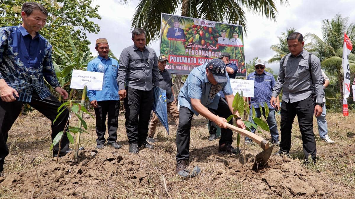 Perusahaan Kuliner Jepang, Chateraise Siap Borong Kakao Gorontalo