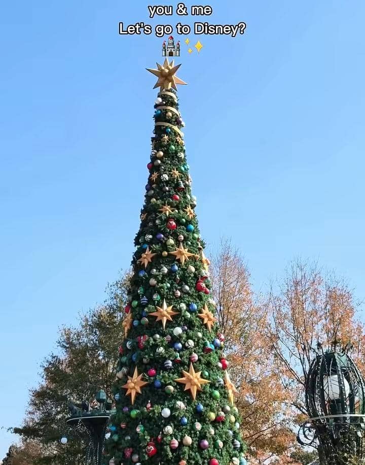 Fani MCI dan Jerry MCI liburan di Disneyland