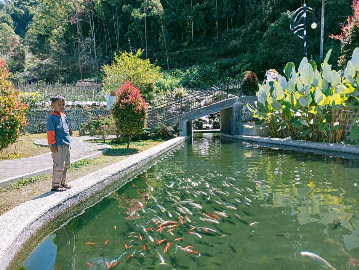Hutan gunung Lawu dilihat dari jalan tembus Sarangan - Cemorosewu. IDN Times/Riyanto.