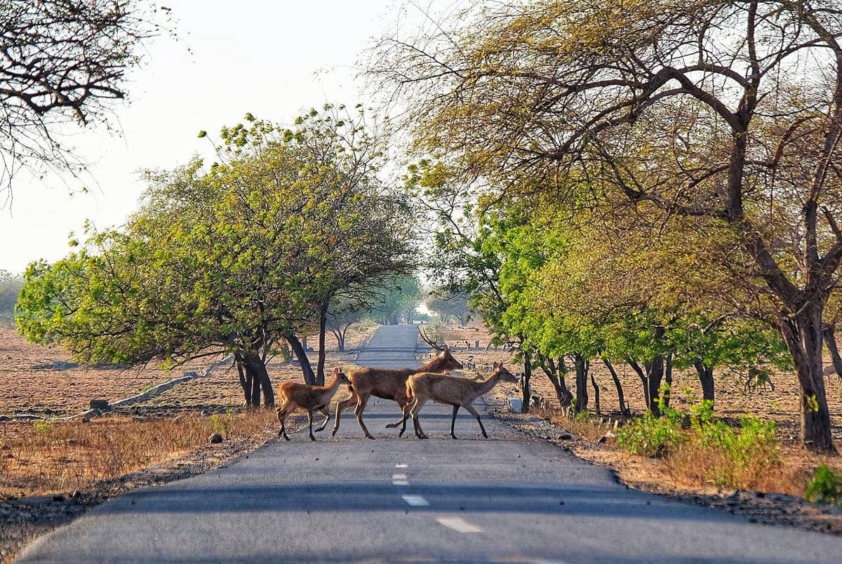 5 Taman Nasional di Indonesia yang Cocok untuk First Time Eco Traveler