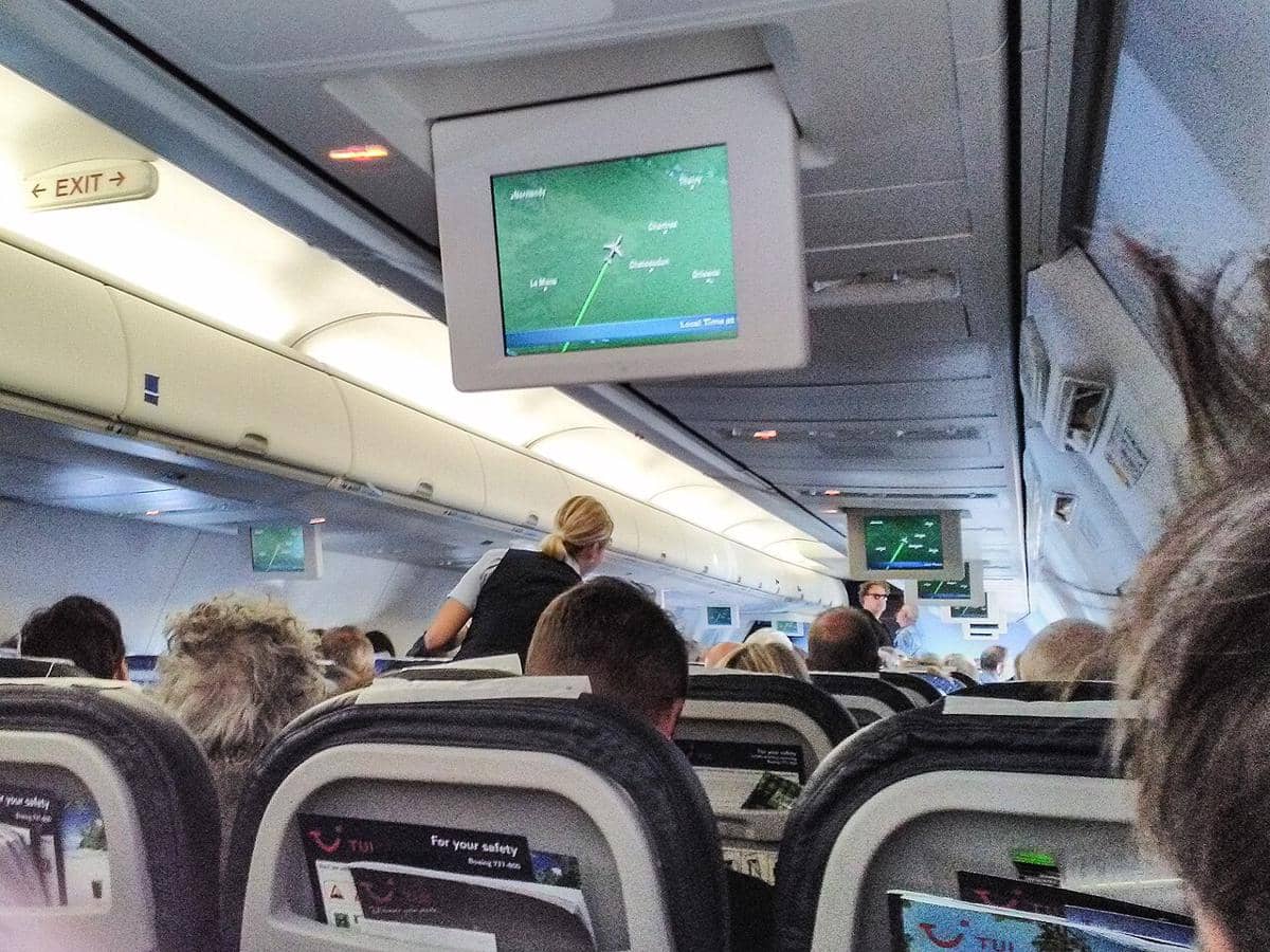 ilustrasi penumpang dan awak kabin 