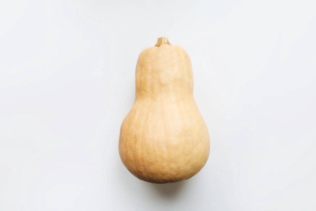 ilustrasi butternut squash