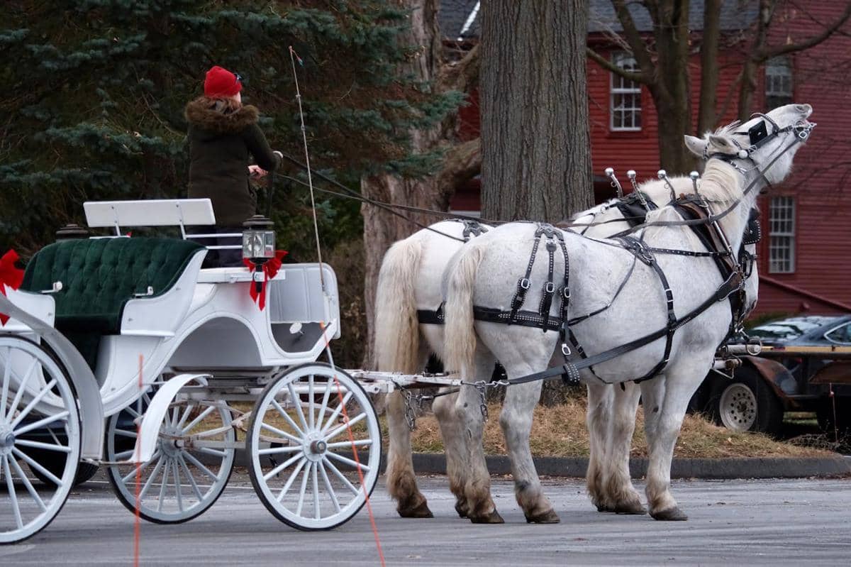 ilustrasi kereta kuda di Central Park, New York 