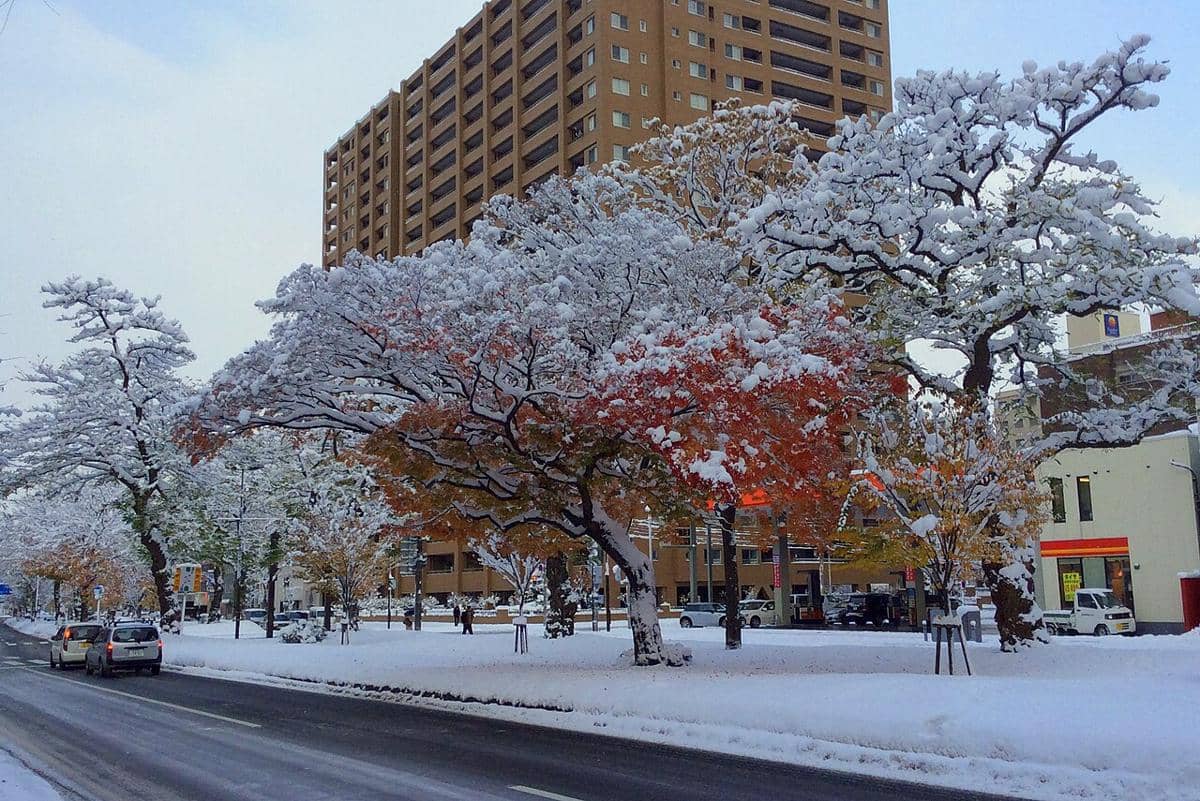 ilustrasi Sapporo saat musim salju