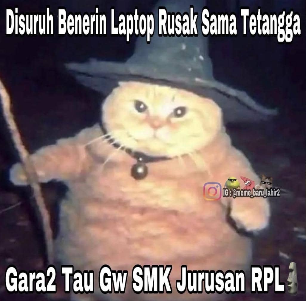 meme laptop 