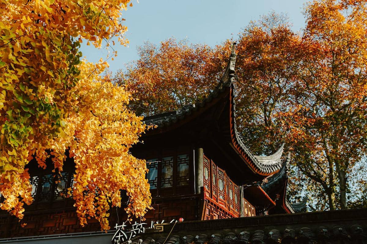 ilustrasi musim gugur di China 