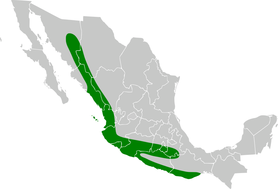 ilustrasi peta persebaran happy wren