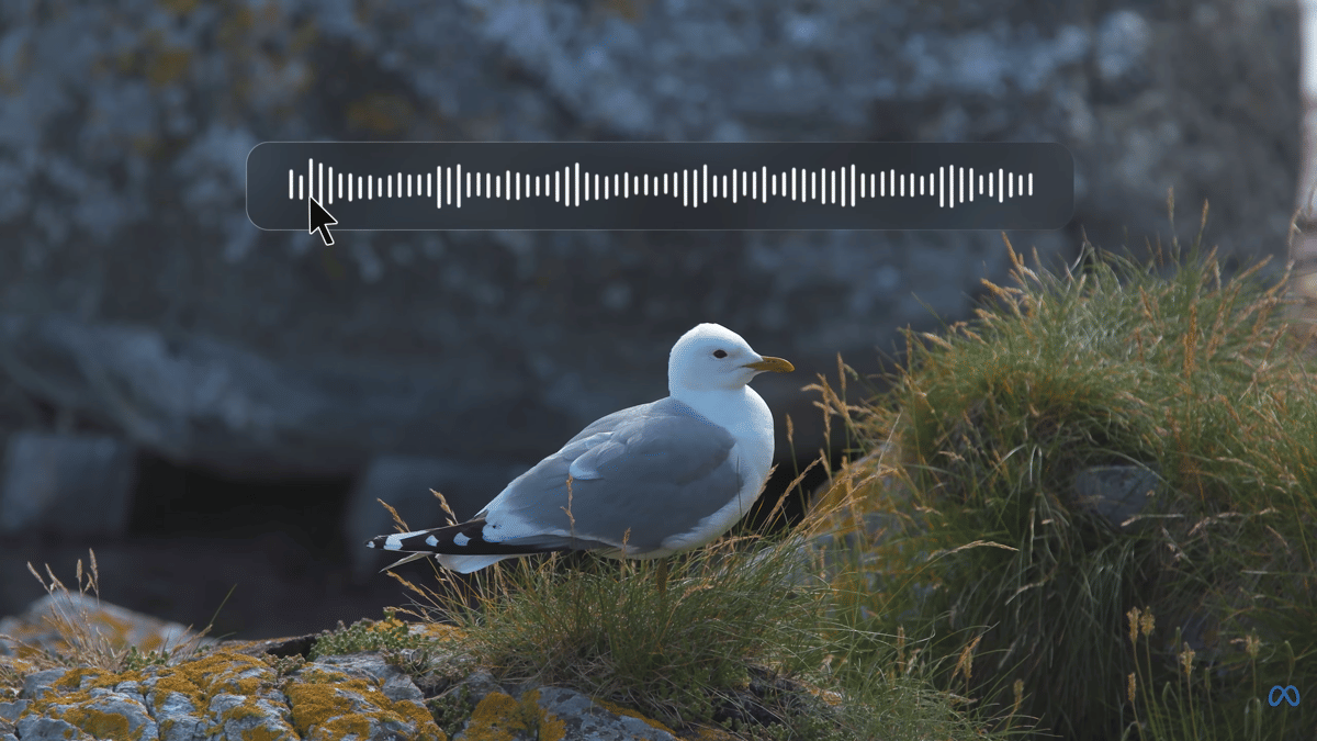ilustrasi menghapus suara bising burung menggunakan SAM Audio