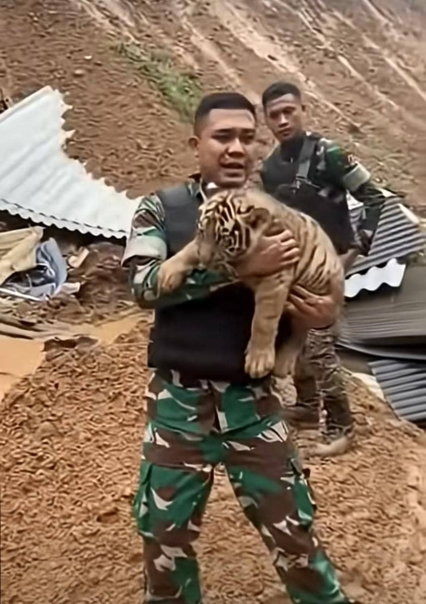 Banjir Sumatra, TNI AD