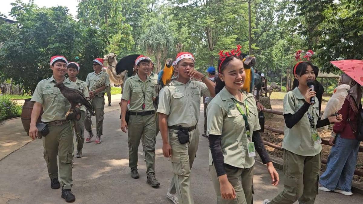 WhatsApp Image 2025-12-21 at 11.55.55.jpeg