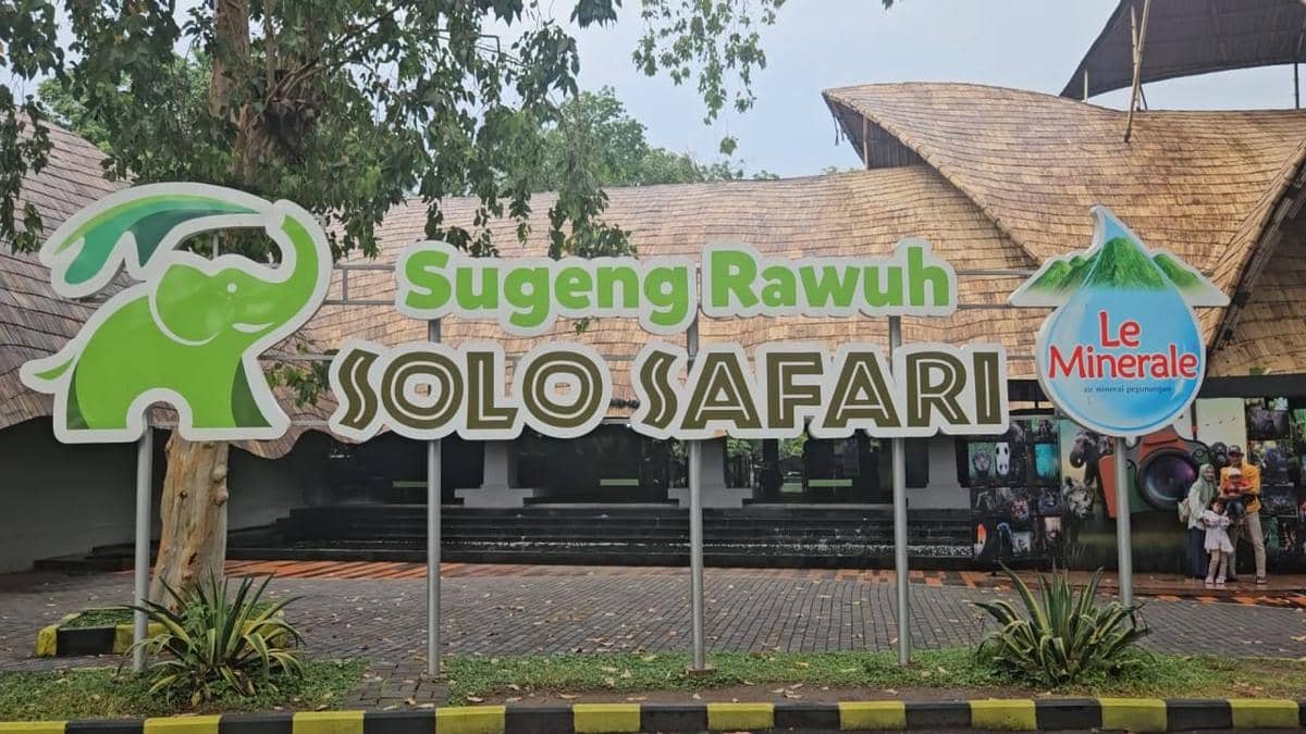 WhatsApp Image 2025-12-21 at 11.55.54.jpeg