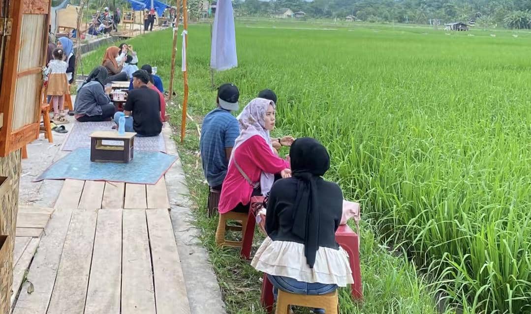 Destinasi wisata sawah Desa Namang