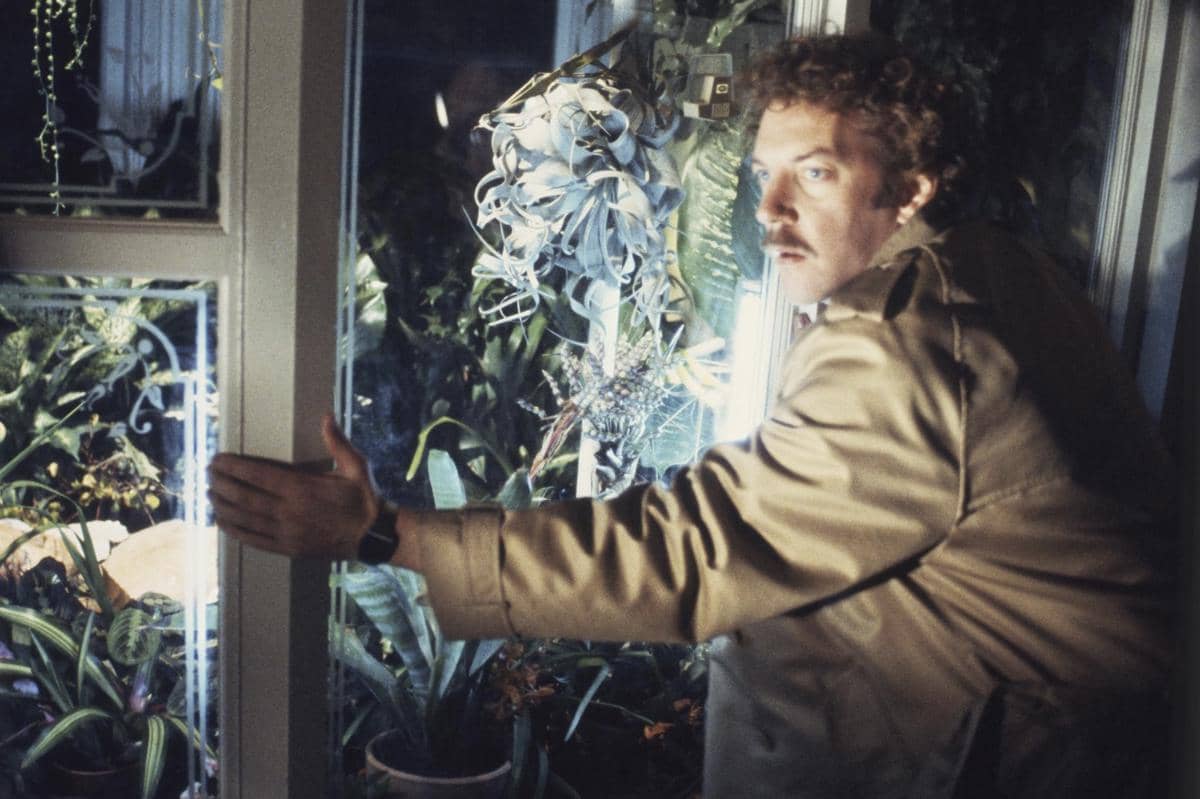 film Invasion of the Body Snatchers.