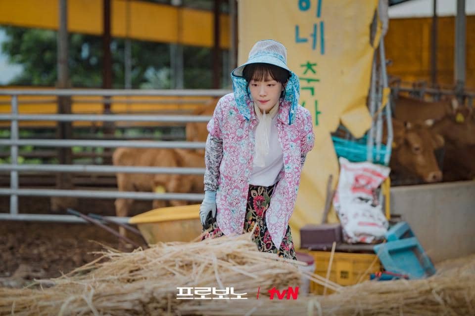 still cuts drama Pro Bono