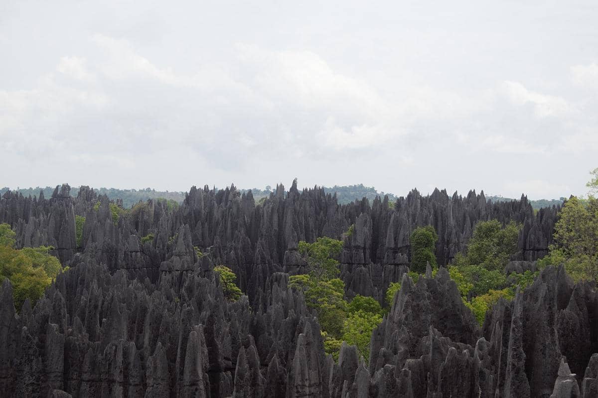 Ilustrasi gunung tsingy de bemaraha di Madagaskar
