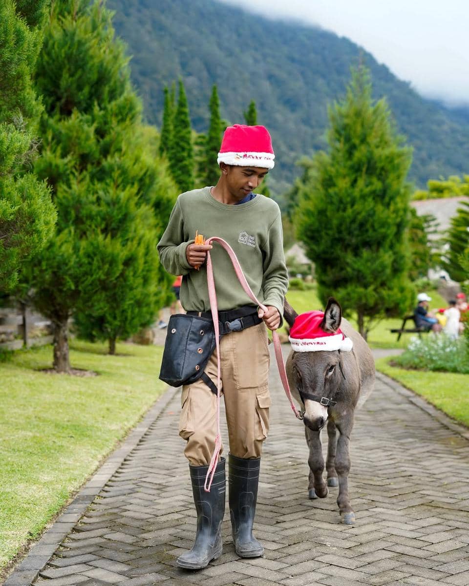 hewan lainnya di Bali Farm House