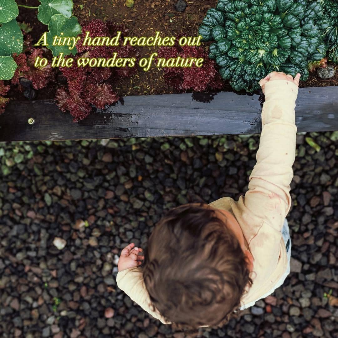 suasana perkebunan di Bali Farm House 