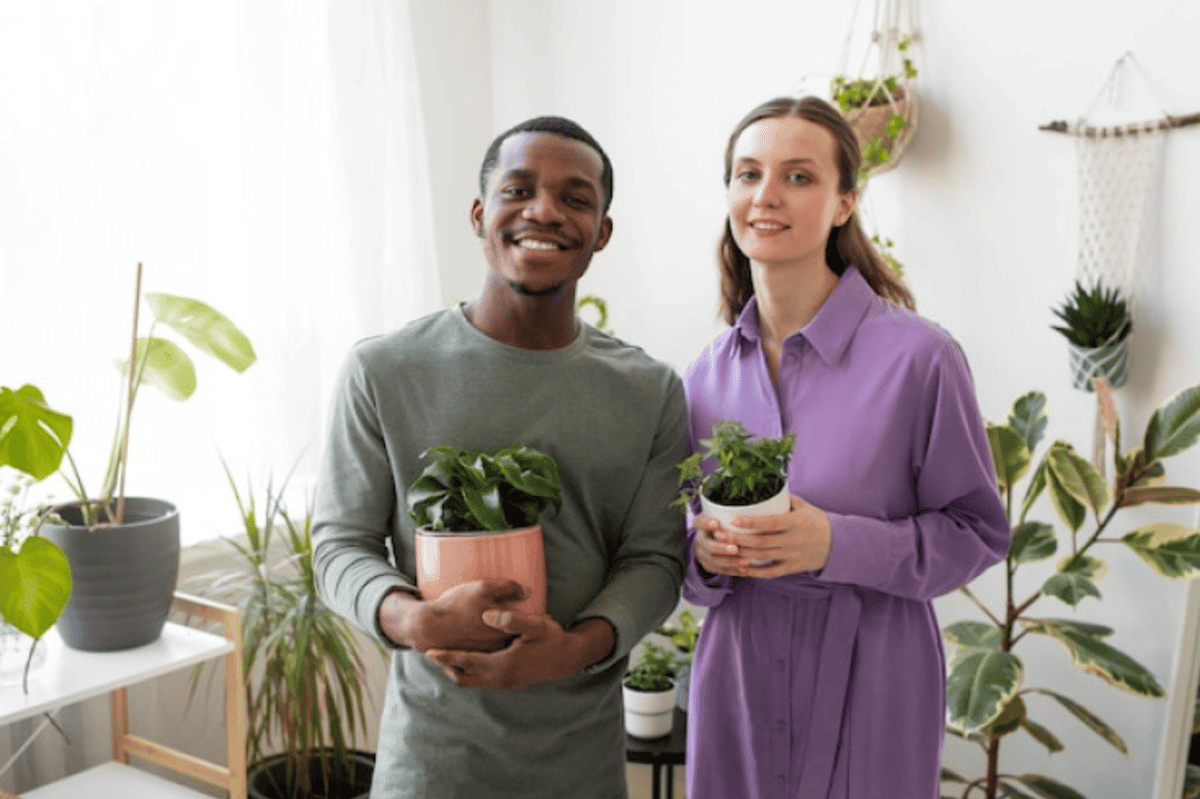 ilustrasi pasangan bertukar kado tanaman hias