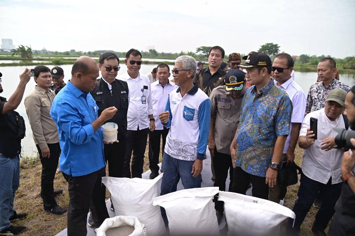 WhatsApp Image 2025-12-22 at 11.31.41 AM.jpeg