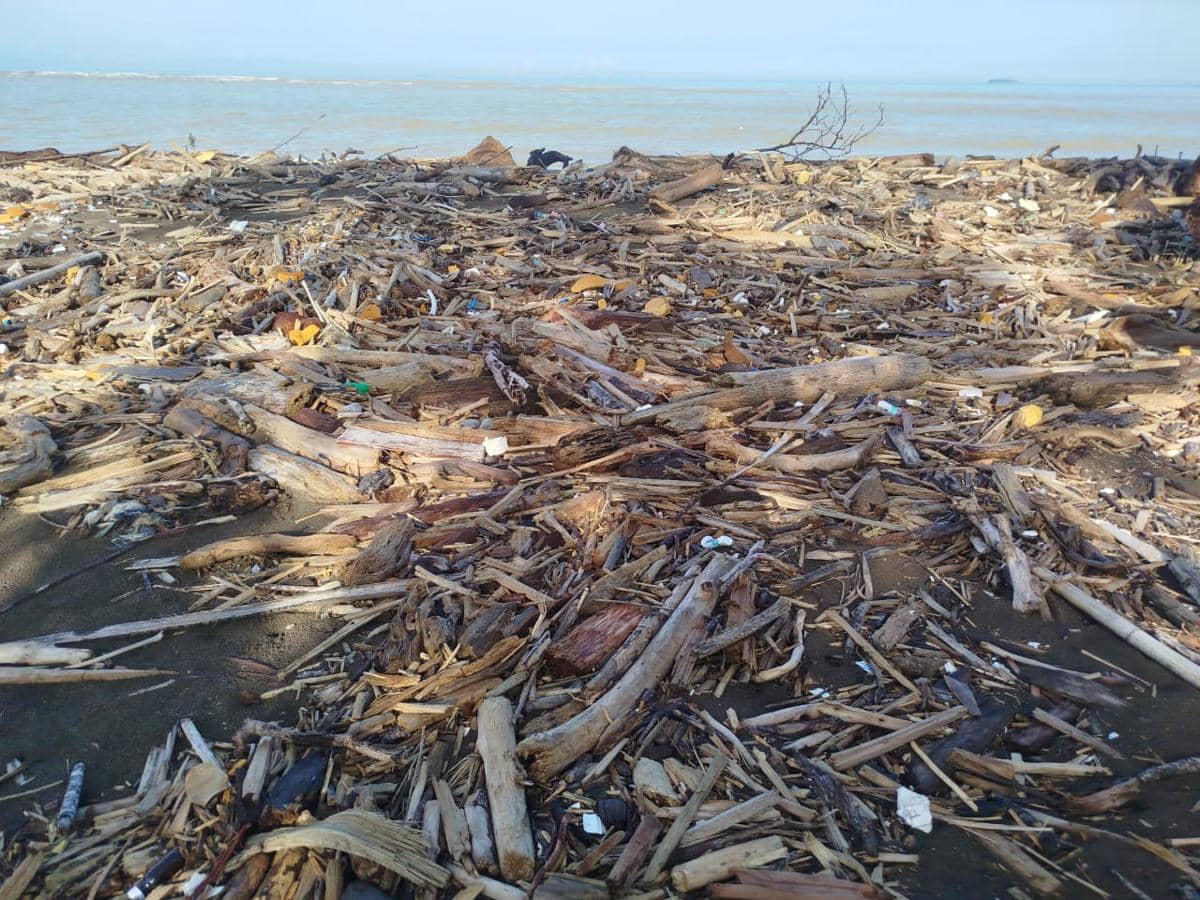 Situasi Pantai Parkit