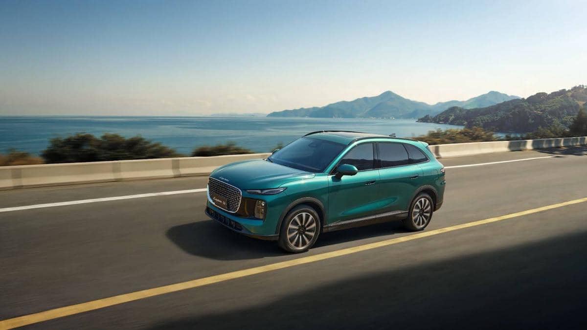 unnamed - 2025-12-22T143637.467.jpg