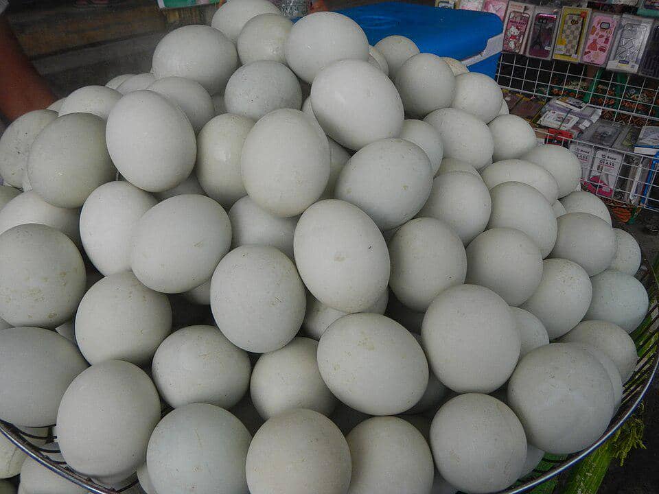 telur-telur yang sudah dipilih untuk dibuat menjadi balut