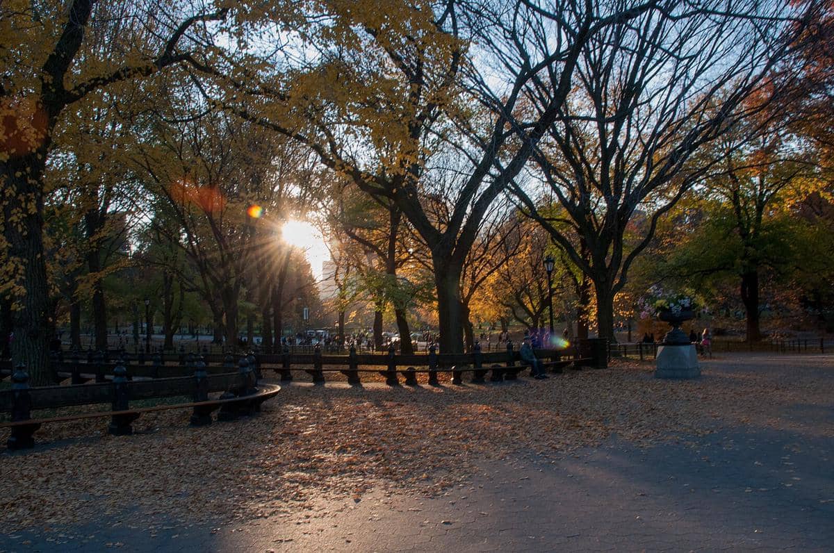 potret Central Park, New York City
