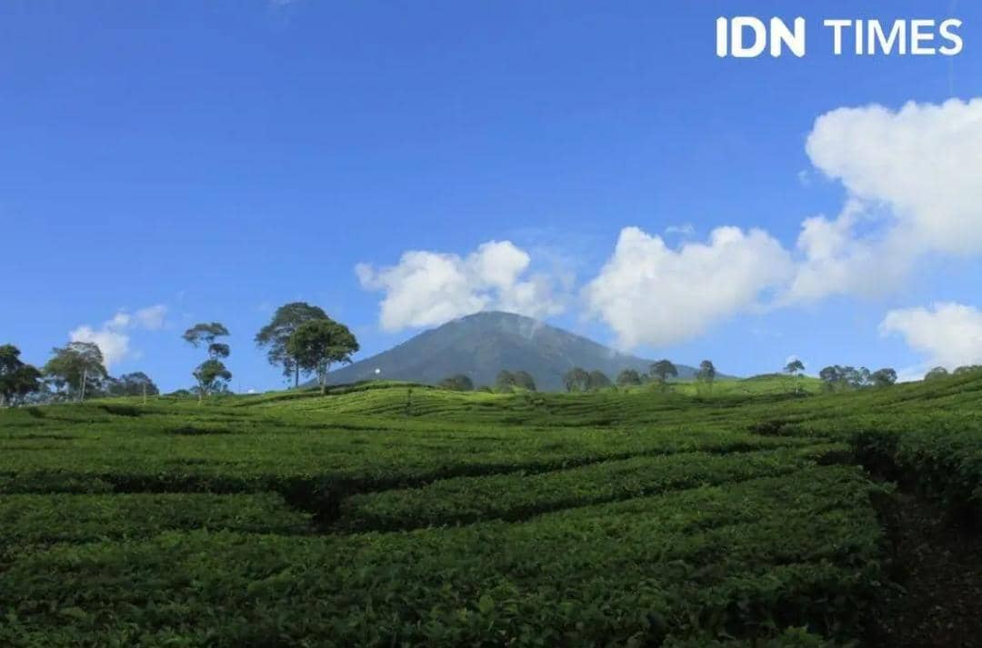 Gunung Dempo di Pagar Alam. (IDN Times/dokumen)