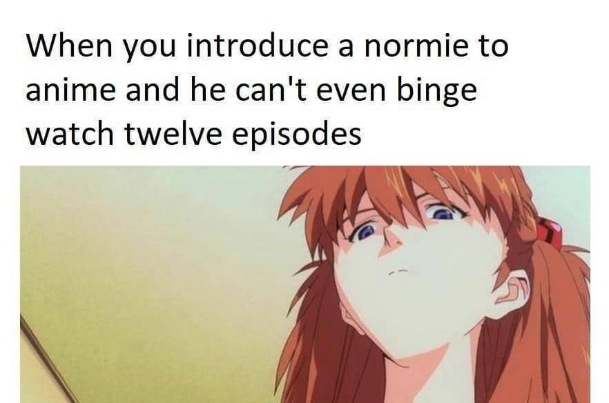 meme anime tentang normies