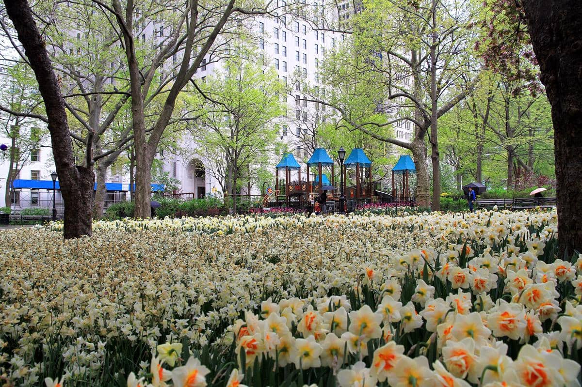 potret Madison Square Park