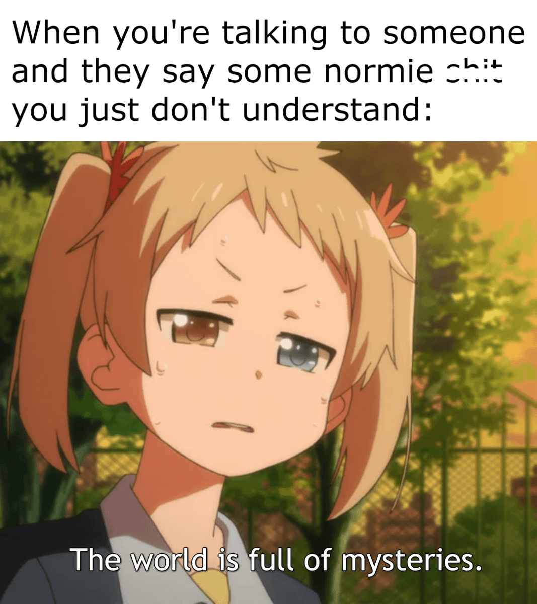 meme anime tentang normies