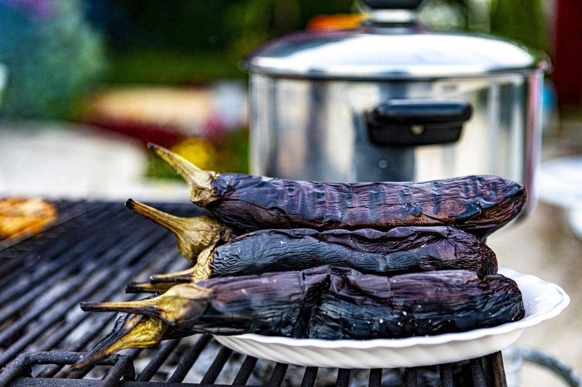 ilustrasi terong yang telah dipanggang